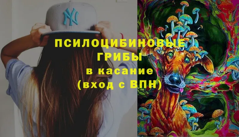 Псилоцибиновые грибы MAGIC MUSHROOMS  Закаменск 